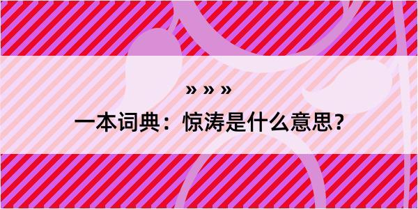 一本词典：惊涛是什么意思？