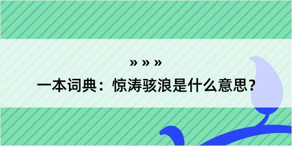 一本词典：惊涛骇浪是什么意思？