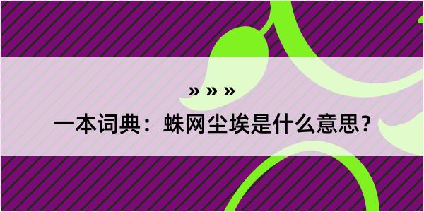 一本词典：蛛网尘埃是什么意思？