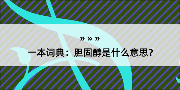 一本词典：胆固醇是什么意思？