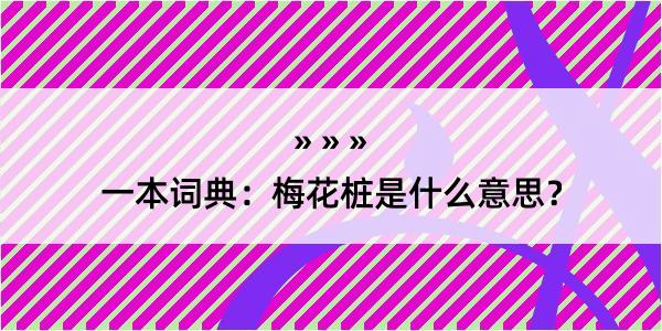 一本词典：梅花桩是什么意思？