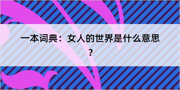 一本词典：女人的世界是什么意思？