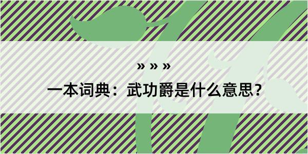 一本词典：武功爵是什么意思？