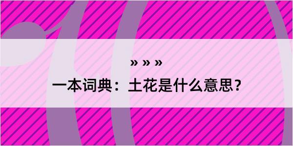 一本词典：土花是什么意思？