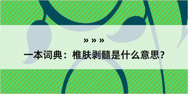 一本词典：椎肤剥髓是什么意思？