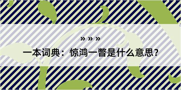 一本词典：惊鸿一瞥是什么意思？