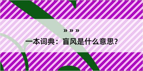 一本词典：盲风是什么意思？