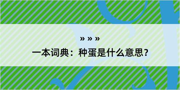 一本词典：种蛋是什么意思？