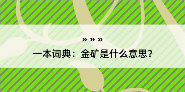 一本词典：金矿是什么意思？