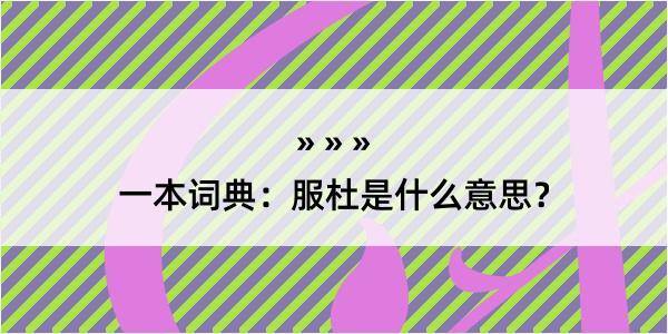 一本词典：服杜是什么意思？