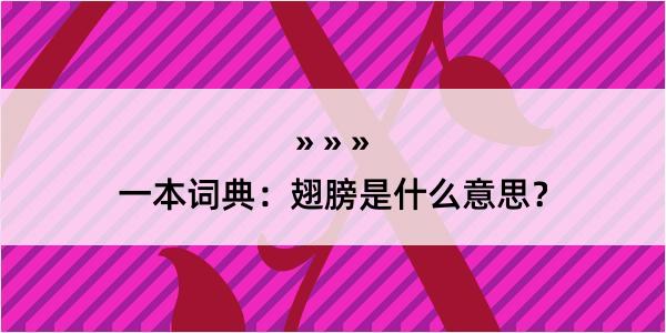 一本词典：翅膀是什么意思？