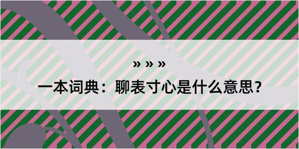 一本词典：聊表寸心是什么意思？