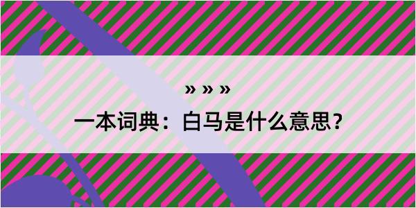 一本词典：白马是什么意思？