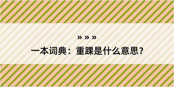 一本词典：重踝是什么意思？