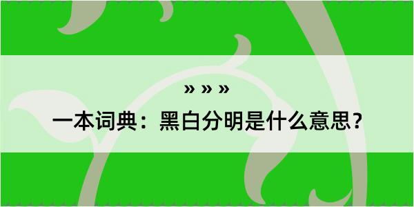 一本词典：黑白分明是什么意思？