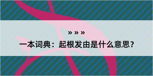 一本词典：起根发由是什么意思？