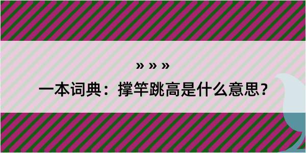 一本词典：撑竿跳高是什么意思？