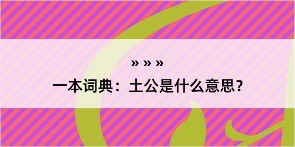 一本词典：土公是什么意思？