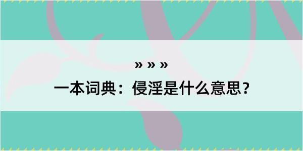 一本词典：侵淫是什么意思？