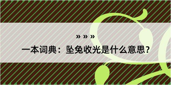 一本词典：坠兔收光是什么意思？