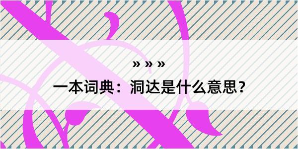 一本词典：洞达是什么意思？