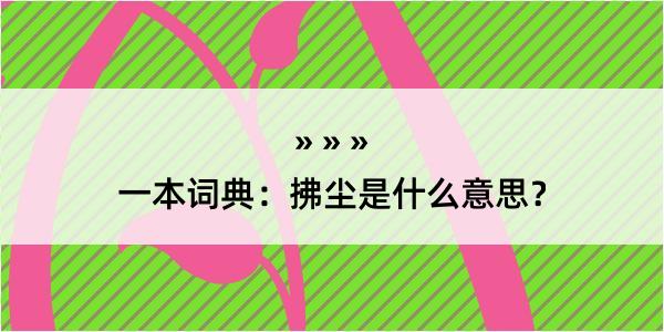 一本词典：拂尘是什么意思？