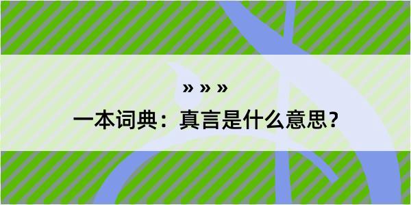 一本词典：真言是什么意思？