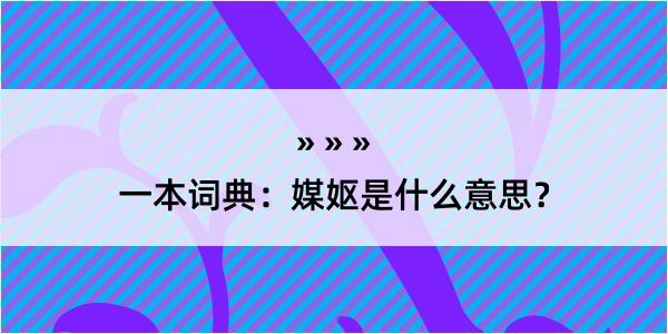 一本词典：媒妪是什么意思？