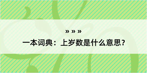 一本词典：上岁数是什么意思？