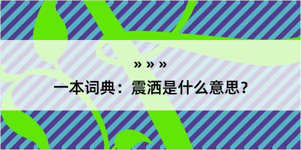 一本词典：震洒是什么意思？