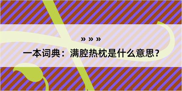 一本词典：满腔热枕是什么意思？