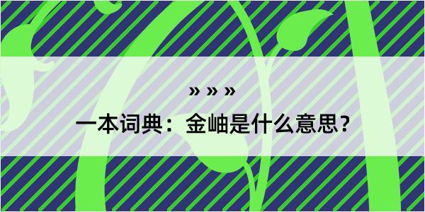 一本词典：金岫是什么意思？