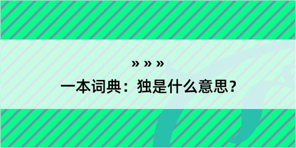 一本词典：独是什么意思？