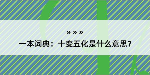 一本词典：十变五化是什么意思？