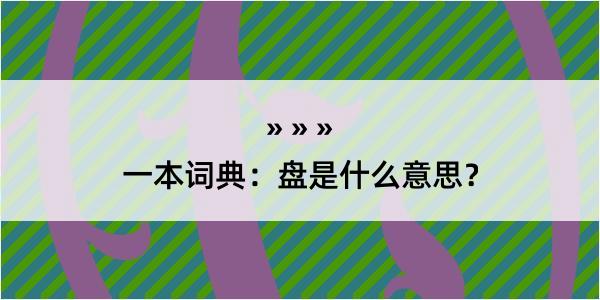 一本词典：盘是什么意思？