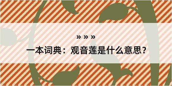 一本词典：观音莲是什么意思？