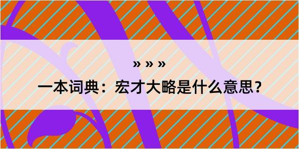 一本词典：宏才大略是什么意思？