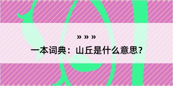 一本词典：山丘是什么意思？