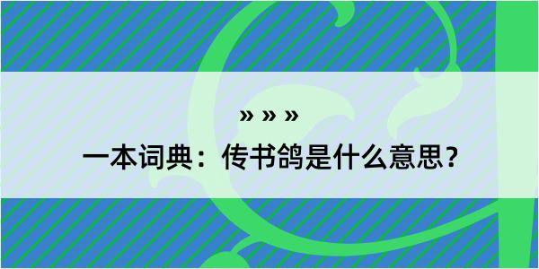 一本词典：传书鸽是什么意思？