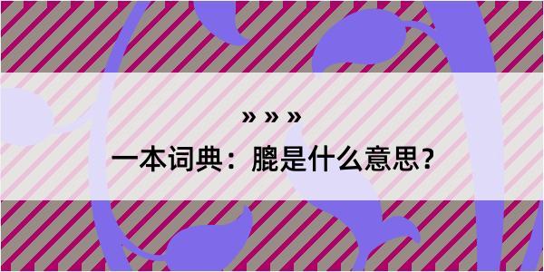 一本词典：膍是什么意思？