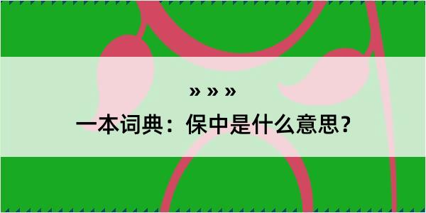 一本词典：保中是什么意思？