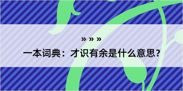 一本词典：才识有余是什么意思？