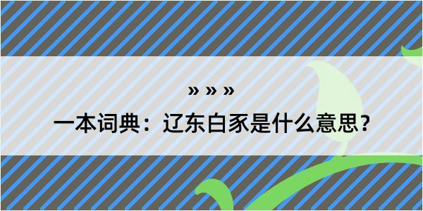 一本词典：辽东白豕是什么意思？