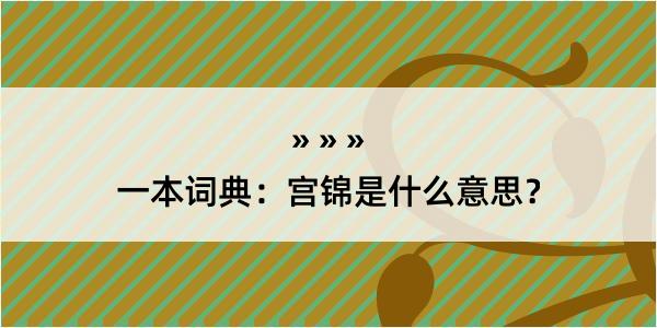 一本词典：宫锦是什么意思？