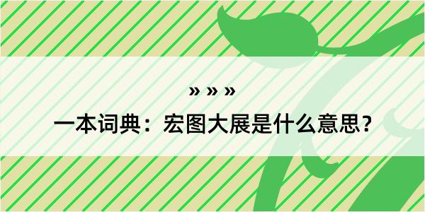 一本词典：宏图大展是什么意思？