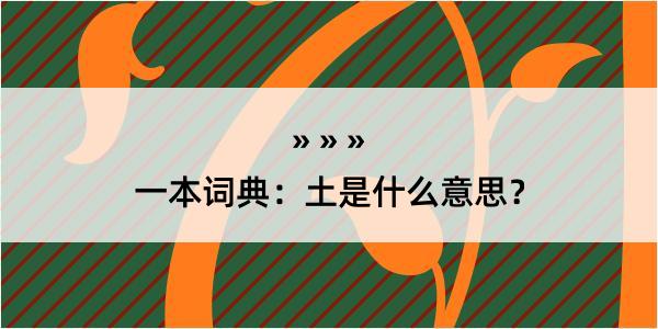 一本词典：土是什么意思？