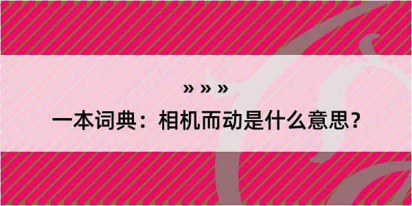 一本词典：相机而动是什么意思？