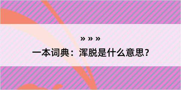 一本词典：浑脱是什么意思？