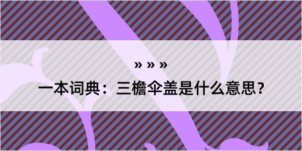 一本词典：三檐伞盖是什么意思？