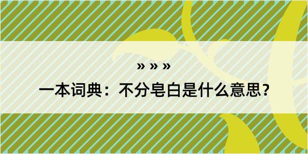 一本词典：不分皂白是什么意思？